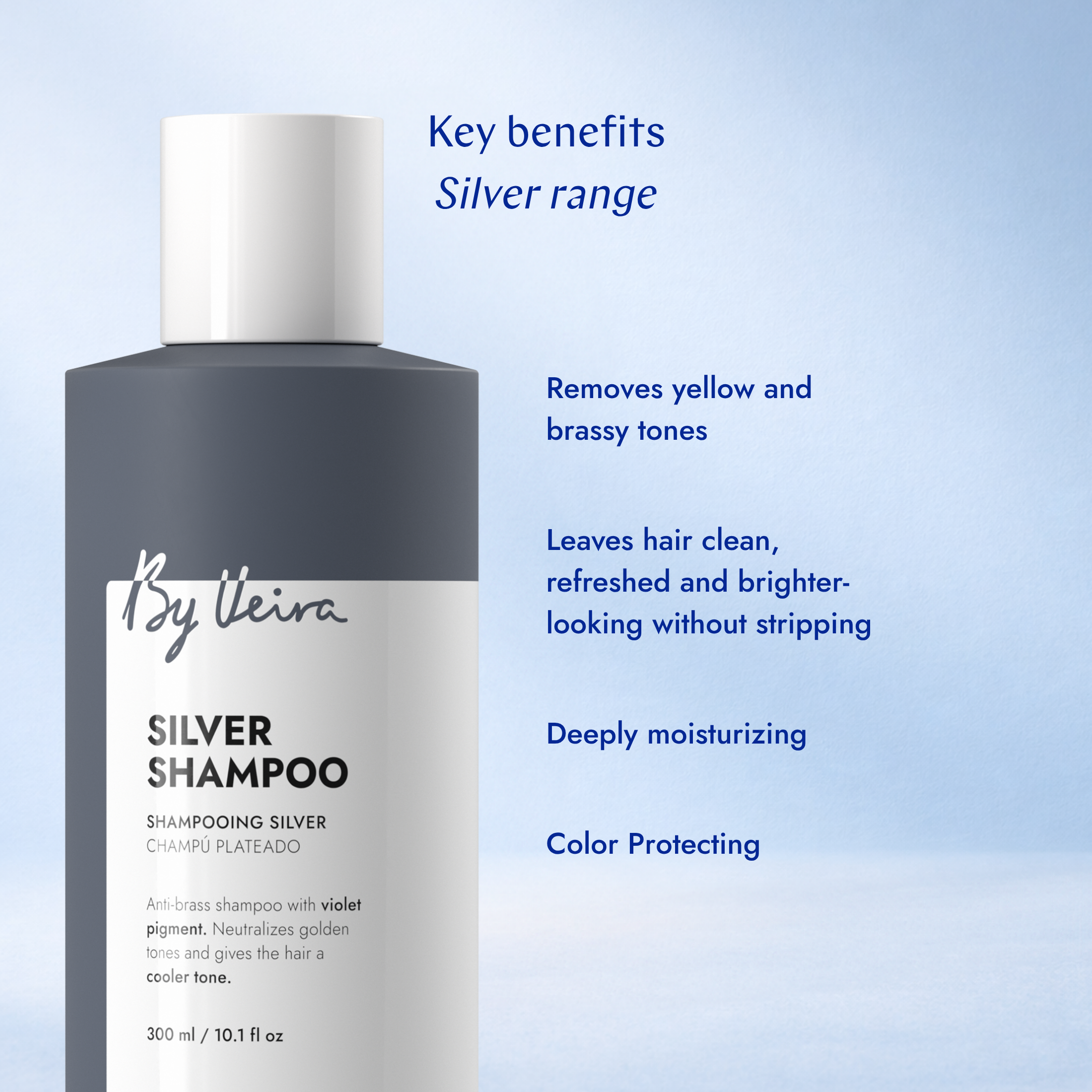 Silver Conditioner 100 ML
